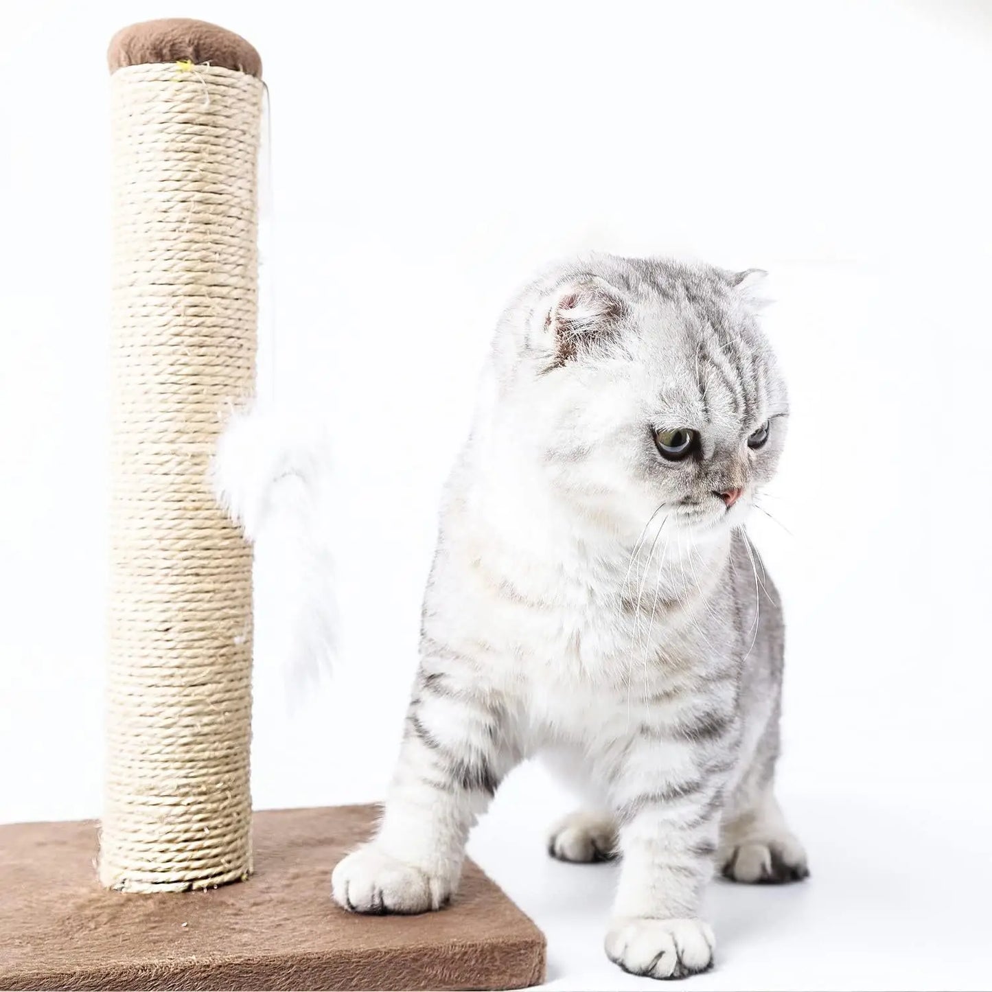 Cat Scratcher Prevents Home Damage - Nobleza, 40 x 25 x 25 cm, Made of Wood and Sisal, Safe and Easy to Clean with Rotating Platform, Ideal Interactive Cat Toy for Indoor Fun