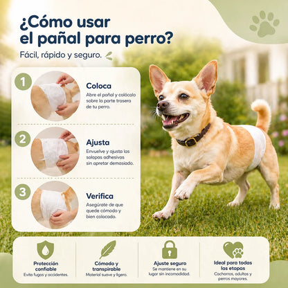 Yommy Absorbent Anti-Leak Disposable Diapers for Male Dogs - 12 Units Size - Soft and Resistant, Easy to Put on for Training and Canine Incontinence