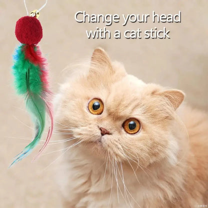 5Pcs Replacement Cat Feather Toys with Bell Natural Feather Refills Cat Teaser Toy for Indoor Cat Exercise Playing
