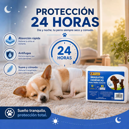 Yommy Absorbent Anti-Leak Disposable Diapers for Male Dogs - 12 Units Size - Soft and Resistant, Easy to Put on for Training and Canine Incontinence